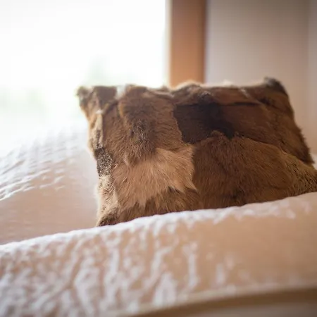 公寓 Ferienloft Waldblick *